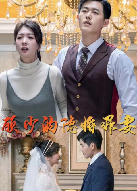 顾少的隐婚罪妻 第12集