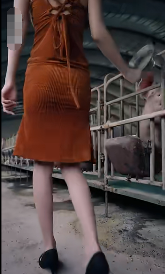 未来日记短剧 第81集