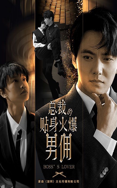 总裁的贴身火爆男佣 第1-20集