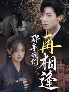 那年我们再相逢 第41-65集完结(大结局)