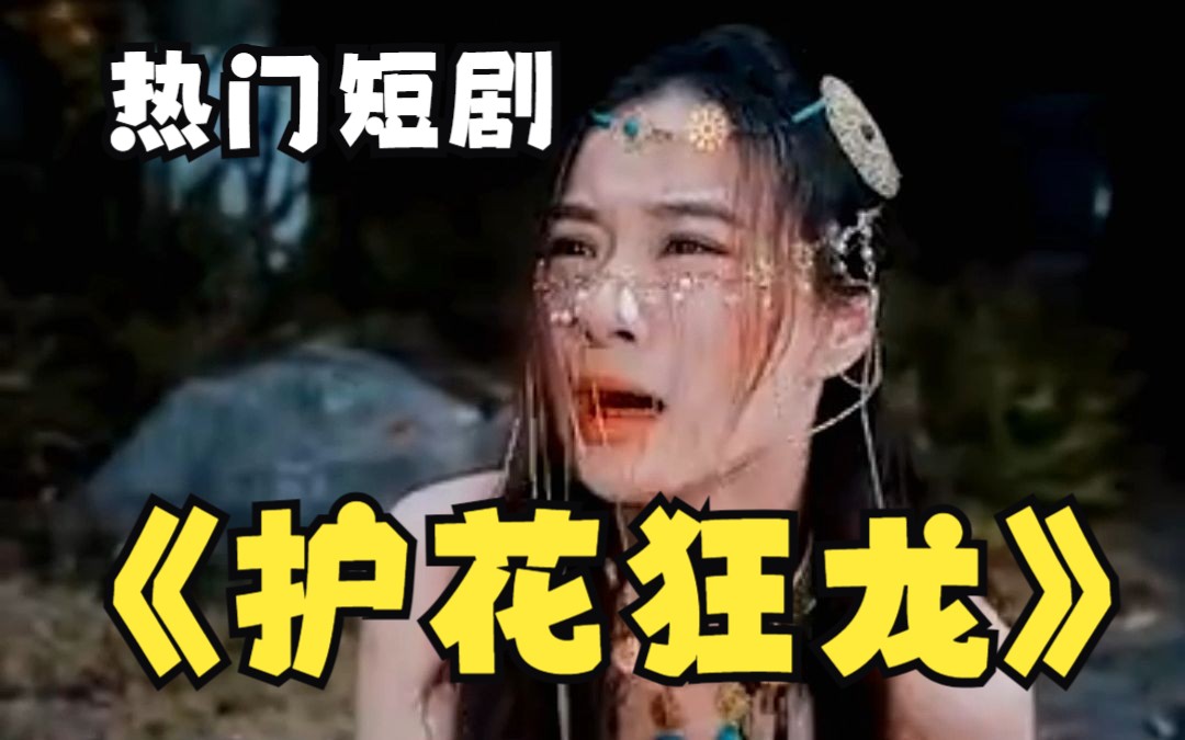 护花狂龙 第4集