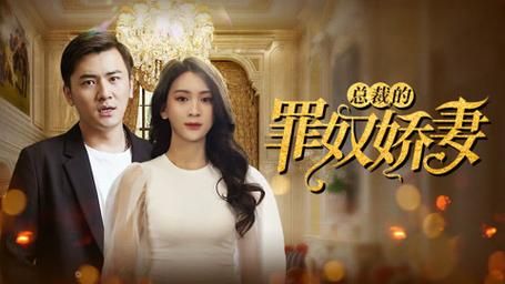 总裁的罪奴娇妻 第21-40集