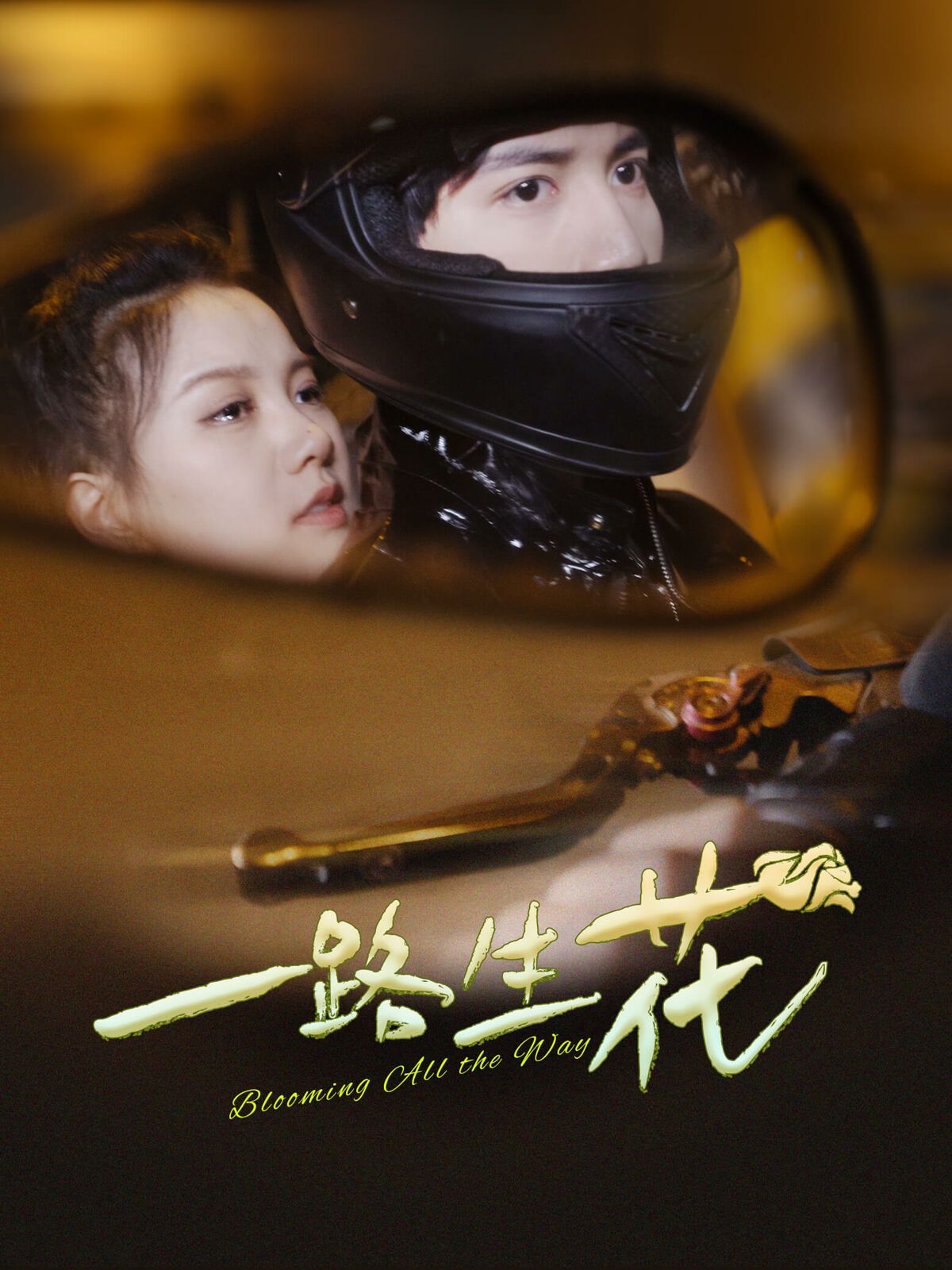 一路生花 第21-40集