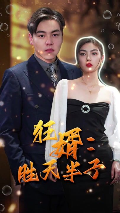 狂婿：胜天半子 第21-40集