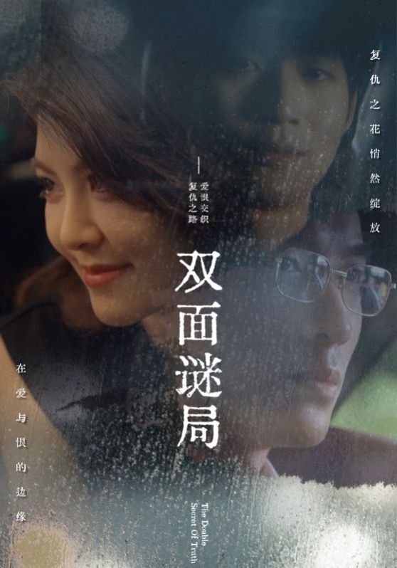 双面谜局 第12集