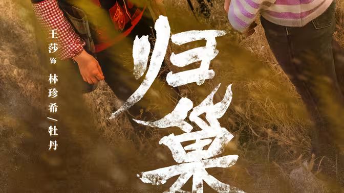 归巢 第41-80集完结(大结局)