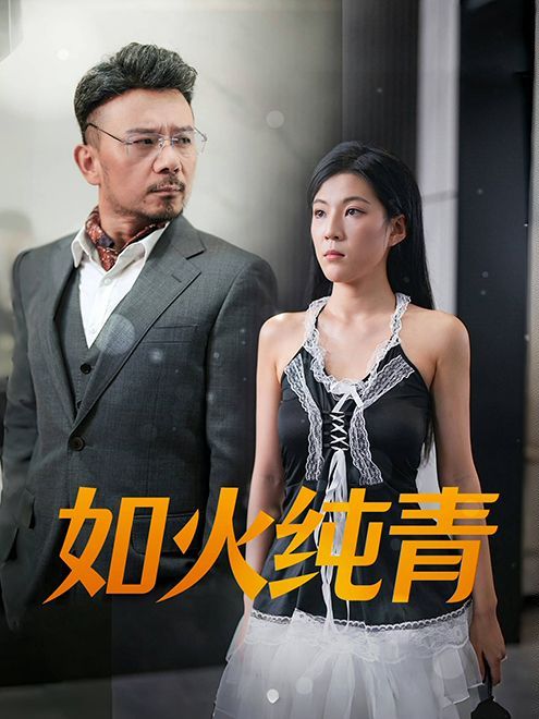 如火纯青 第12集