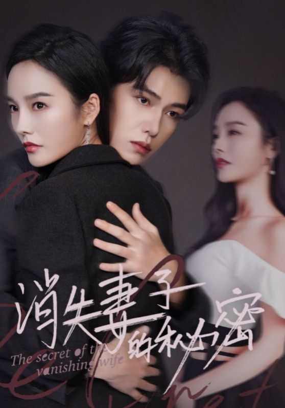 消失妻子的秘密 第53集