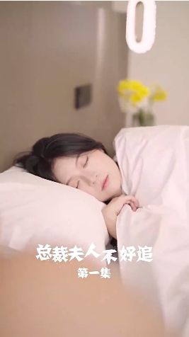 总裁夫人不好追 第1-20集