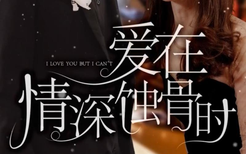 爱在情深蚀骨时 第41-60集