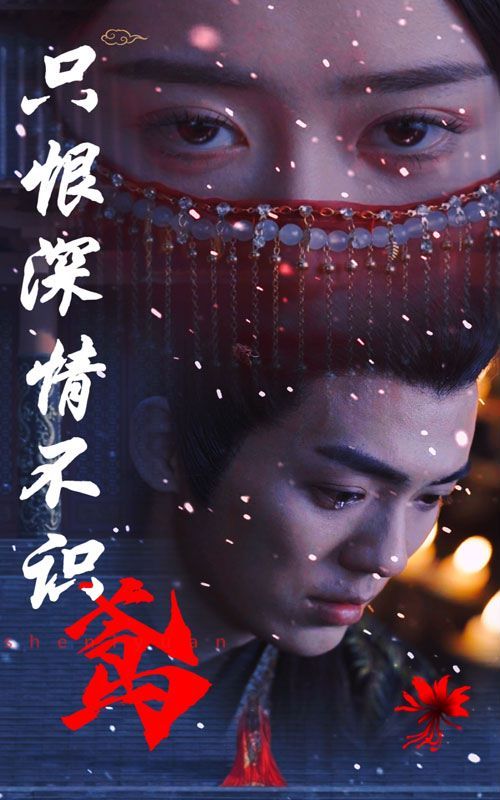 只恨深情不识鸢 第12集