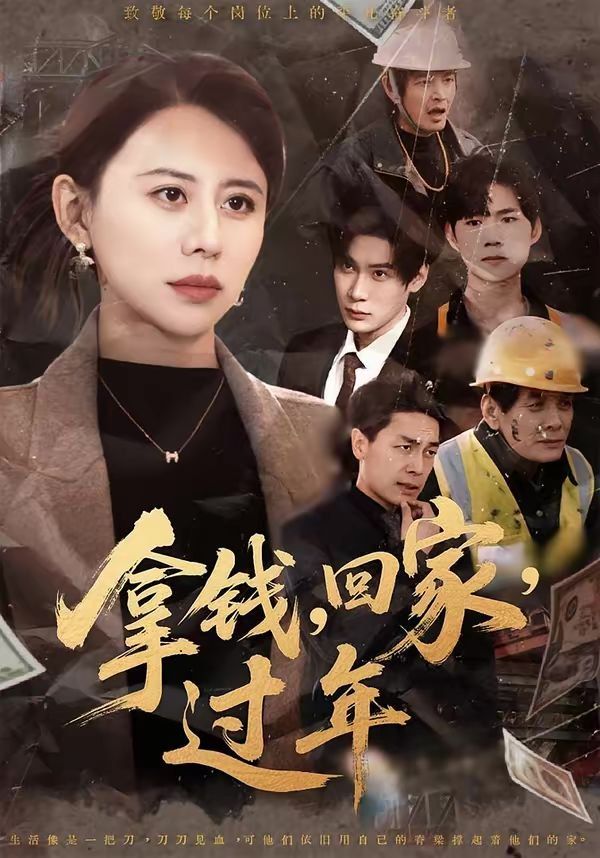 拿钱，回家，过年(全集)