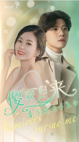 傻妻归来秦爷跪地求复合 第21-40集