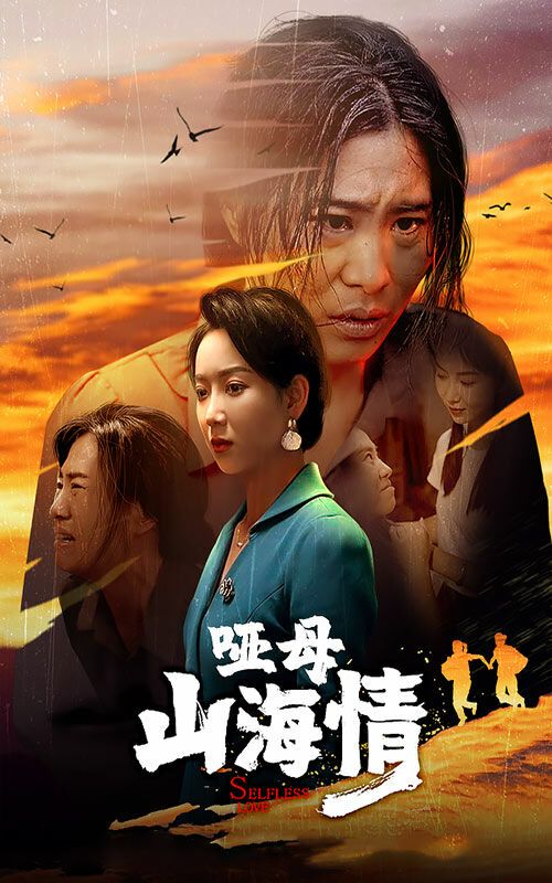 哑母山海情 第12集