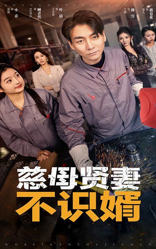 慈母贤妻不识婿 第1-20集