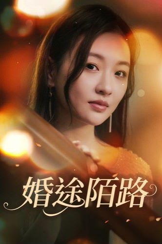 婚途陌路 全集完结(大结局)