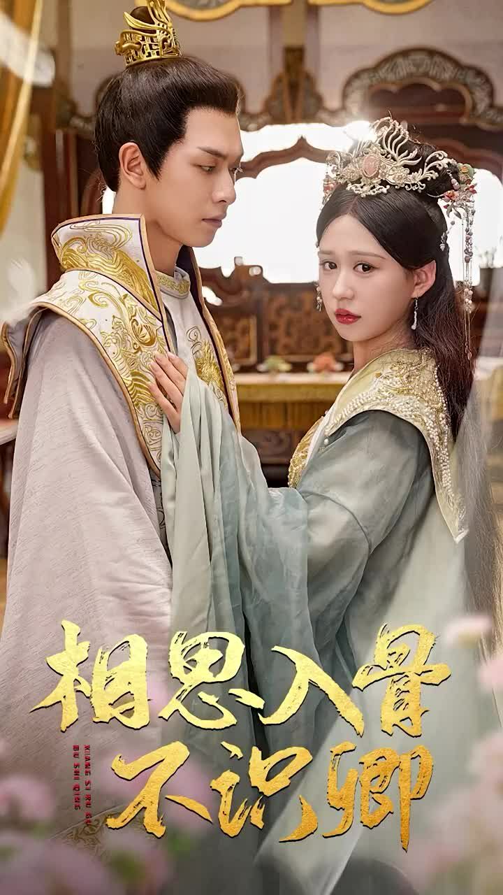 相思入骨不识卿 第41-60集