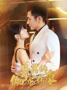 总裁的偏宠萌妻 第41-60集