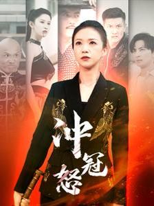 冲冠怒 第1-20集