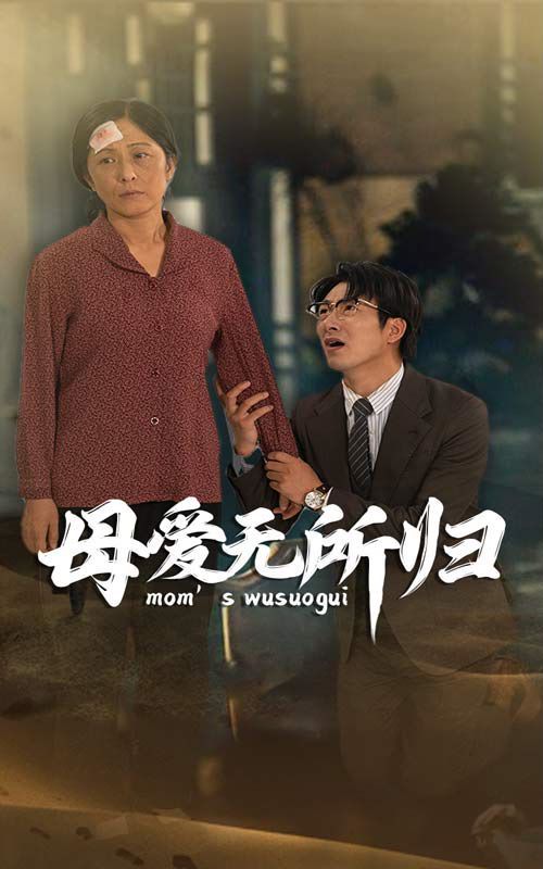 母爱无所归 第25集