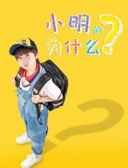小明的为什么